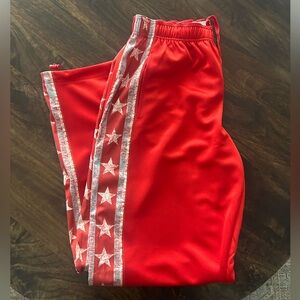 Urban Outfitters BDG Track Star Tricot Pant